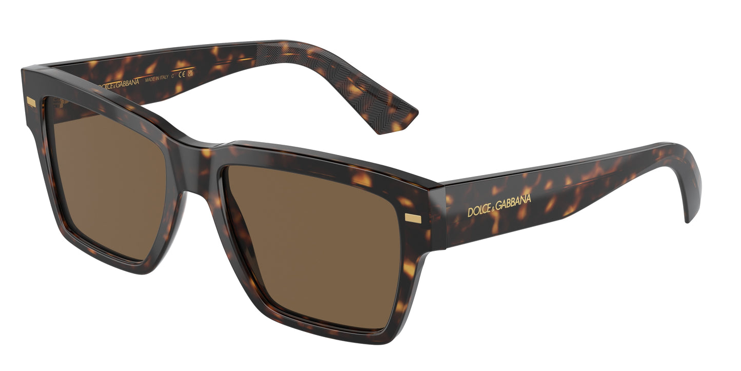 DOLCE & GABBANA DG4431 Square Sunglasses 502/73-Havana 55-145-18 - Color Map Tortoise