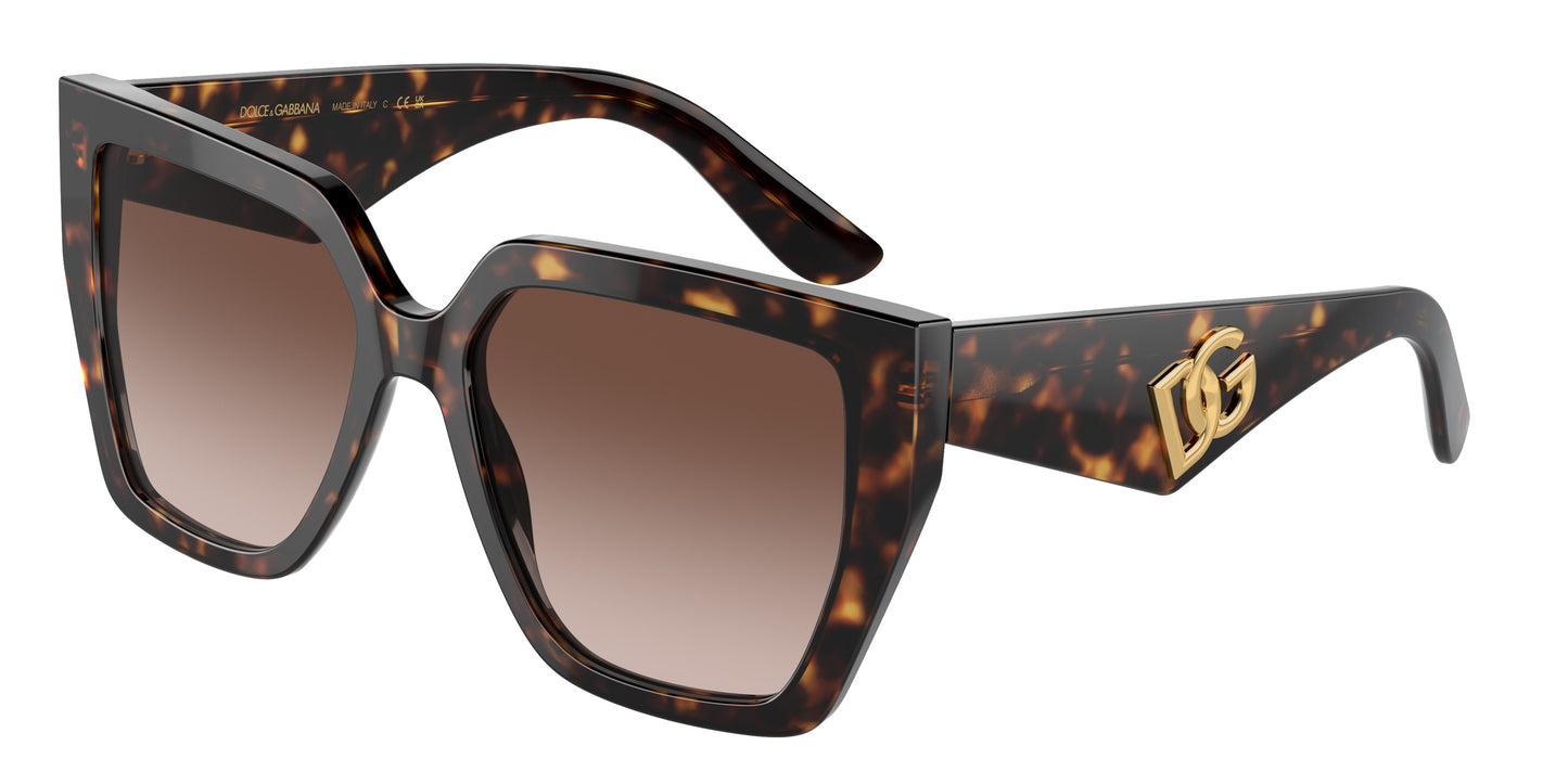 DOLCE & GABBANA DG4438 Square Sunglasses 502/13-Havana 55-145-17 - Color Map Tortoise