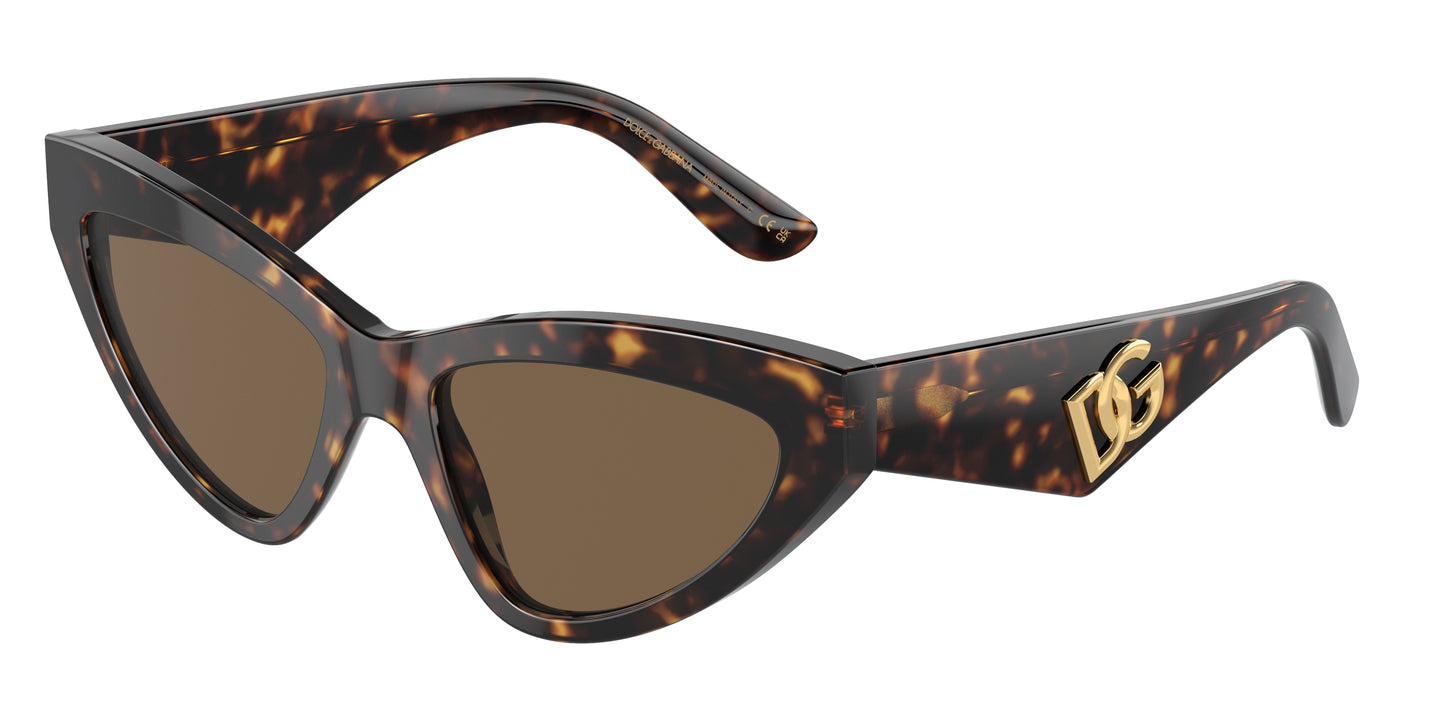 DOLCE & GABBANA DG4439 Cat Eye Sunglasses 502/73-Havana 55-145-18 - Color Map Tortoise