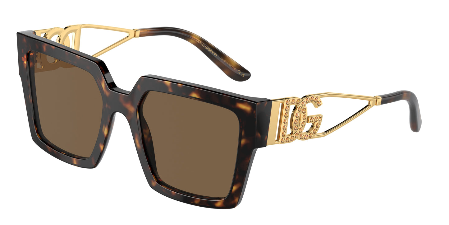 DOLCE & GABBANA DG4446B Square Sunglasses 502/73-Havana 53-145-19 - Color Map Tortoise