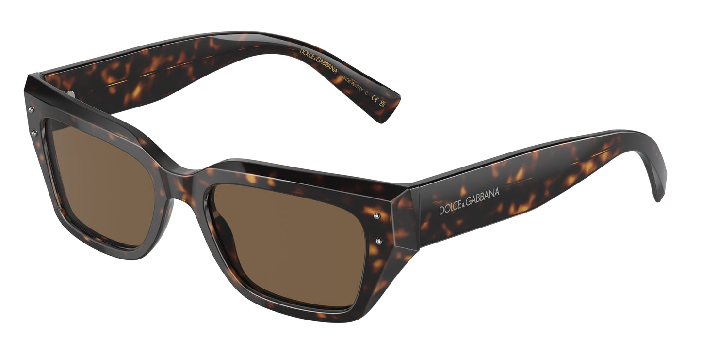 DOLCE & GABBANA DG4462 Cat Eye Sunglasses 502/73-Havana 52-145-18 - Color Map Tortoise