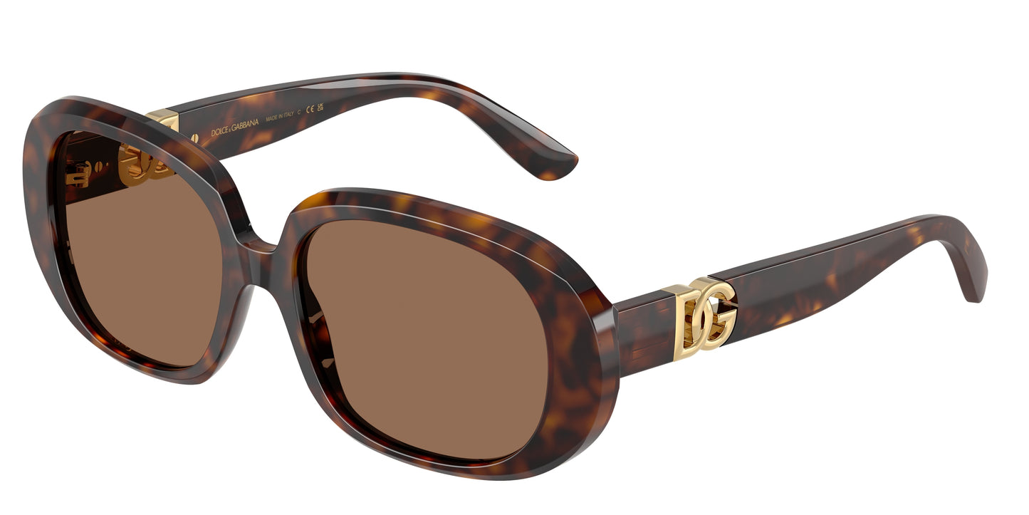 DOLCE & GABBANA DG4476 Oval Sunglasses 502/73-Havana 56-145-17 - Color Map Tortoise