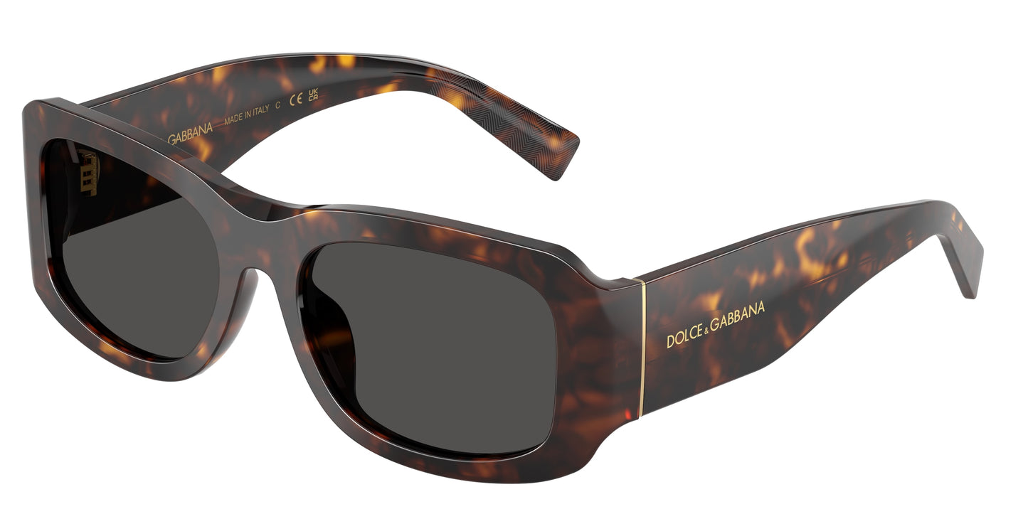 DOLCE & GABBANA DG4503 Rectangle Sunglasses 502/87-Havana 57-140-19 - Color Map Tortoise