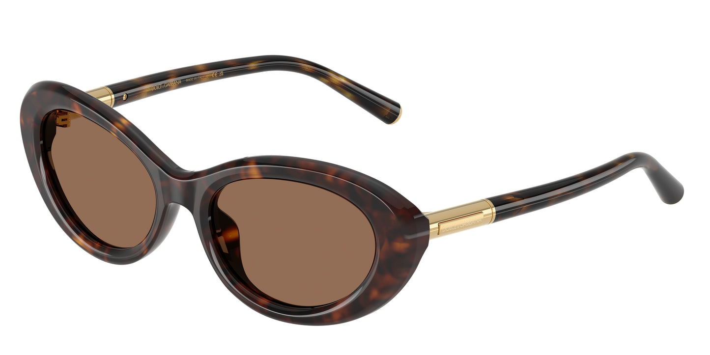 DOLCE & GABBANA DG4519 Oval Sunglasses 502/73-Havana 54-145-18 - Color Map Tortoise