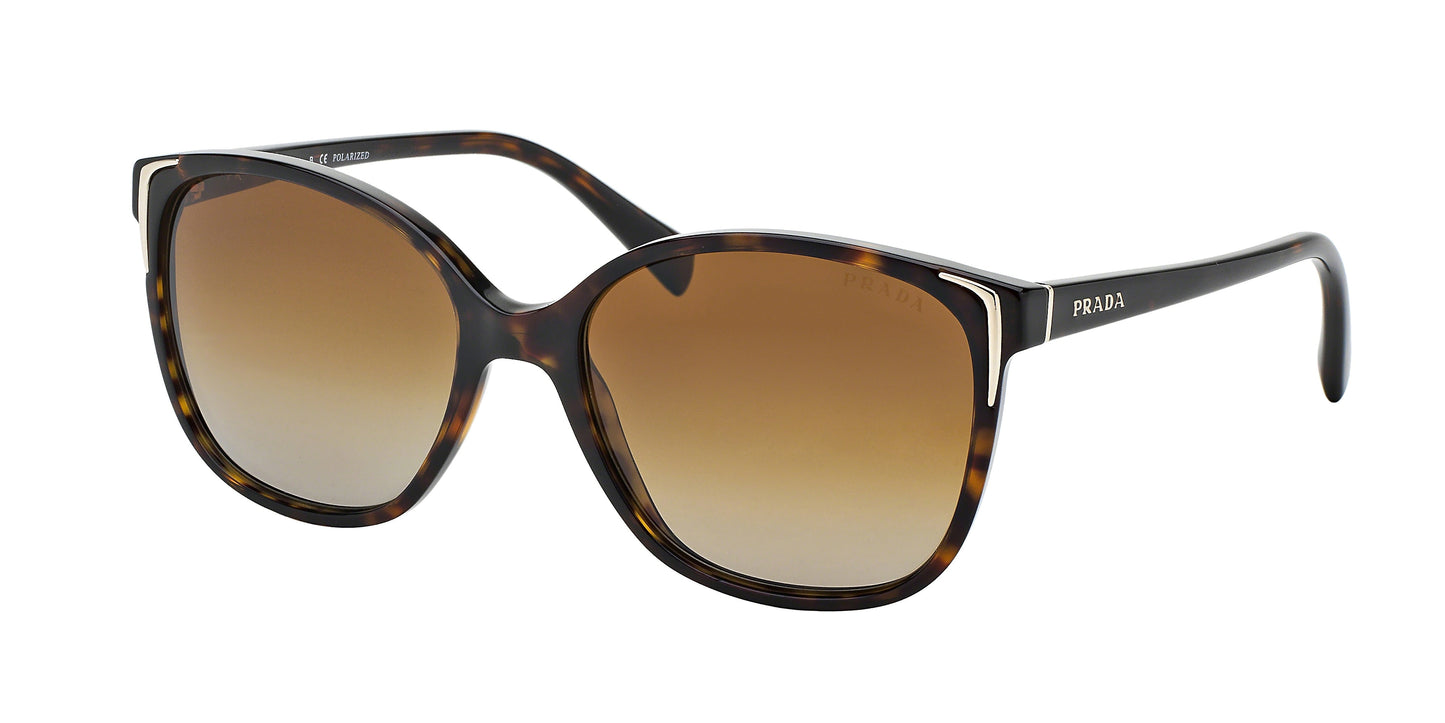 Prada CONCEPTUAL PR01OS Square Sunglasses 2AU6E1-Havana 55-140-17 - Color Map Tortoise