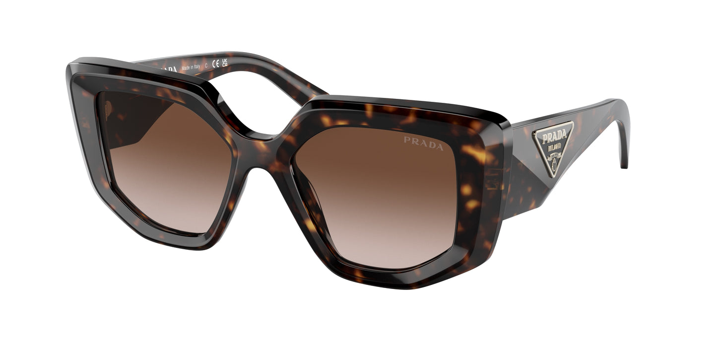 Prada PR14ZS Irregular Sunglasses 2AU6S1-Tortoise 50-140-18 - Color Map Tortoise