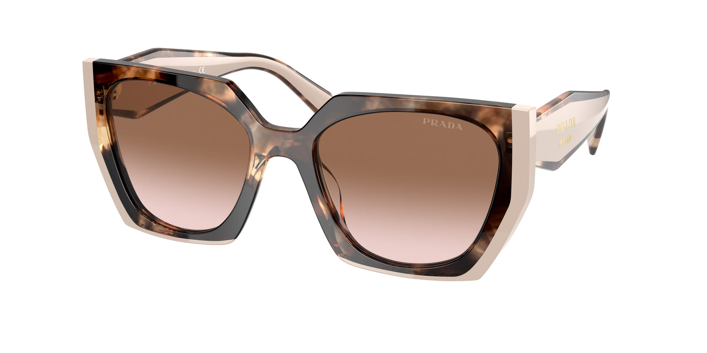 Prada PR15WS Rectangle Sunglasses 01R0A6-Tortoise Caramel/Powder 54-140-19 - Color Map Tortoise