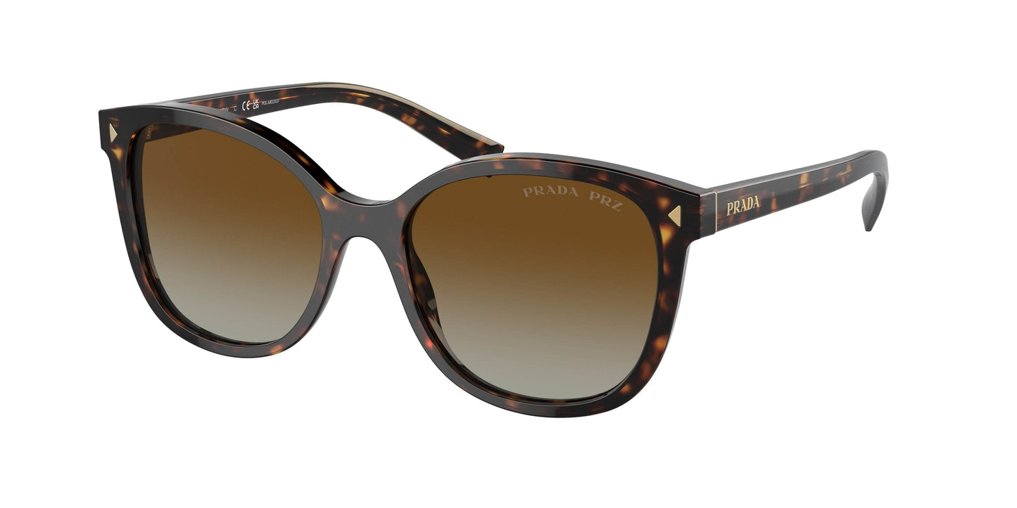 Prada PR22ZSF Square Sunglasses - Lensntrends
