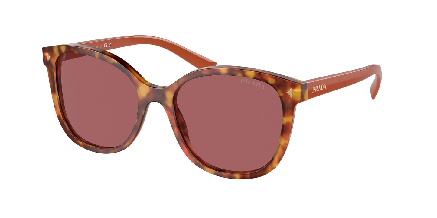 Prada PR22ZS Square Sunglasses - Lensntrends