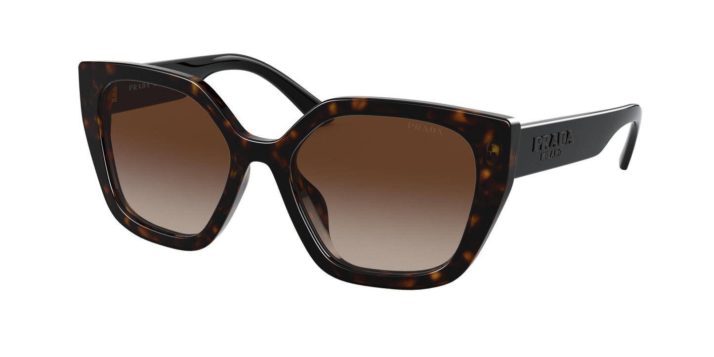 Prada PR24XS Rectangle Sunglasses 2AU6S1-Havana 52-140-18 - Color Map Tortoise