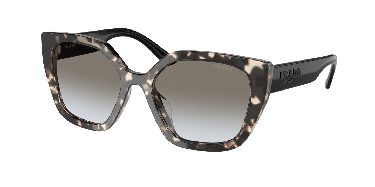 Prada PR24XS Rectangle Sunglasses UAO0A7-Talc Tortoise 52-140-18 - Color Map Tortoise