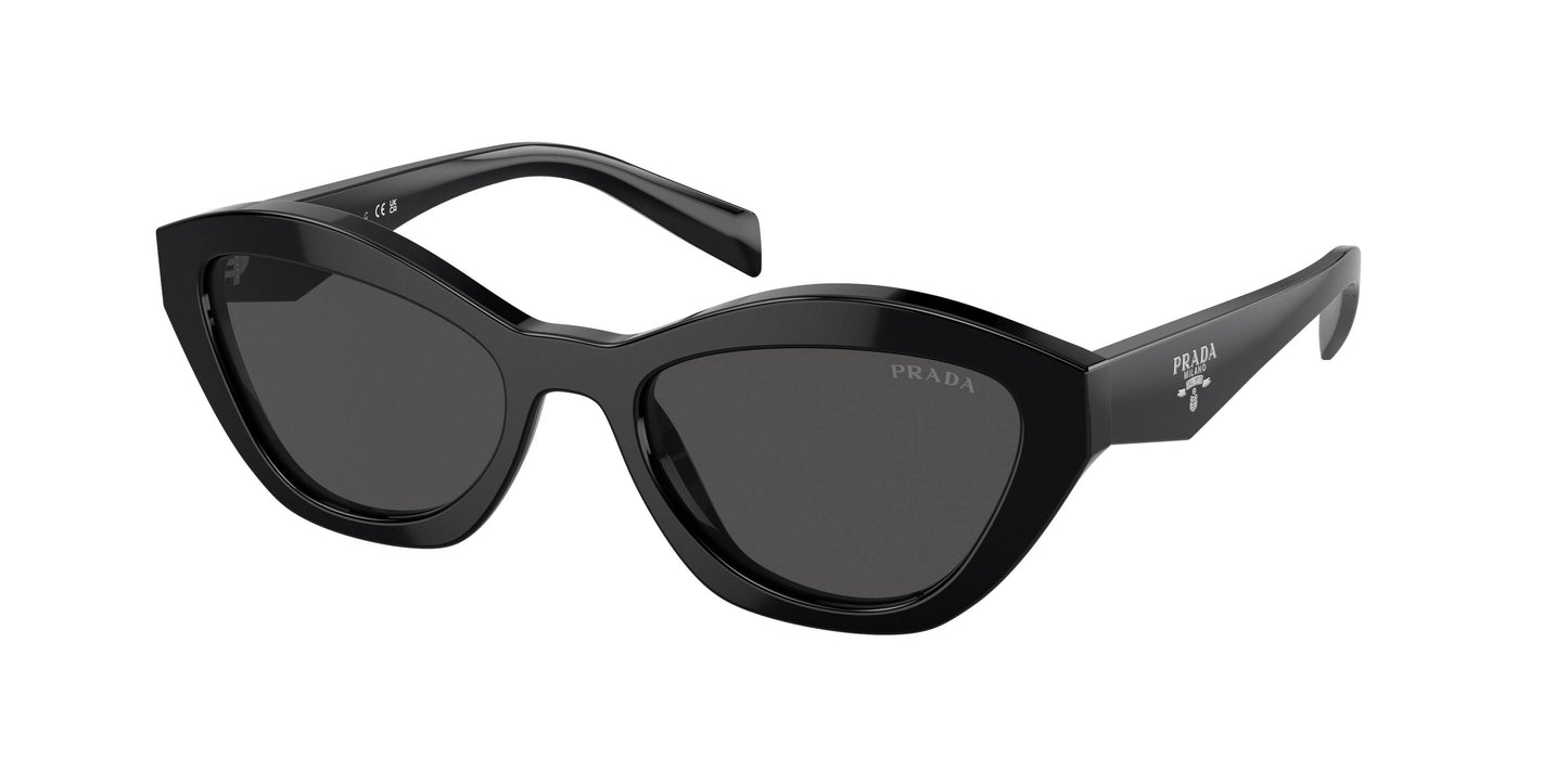 Prada PRA02SF Butterfly Sunglasses - Lensntrends