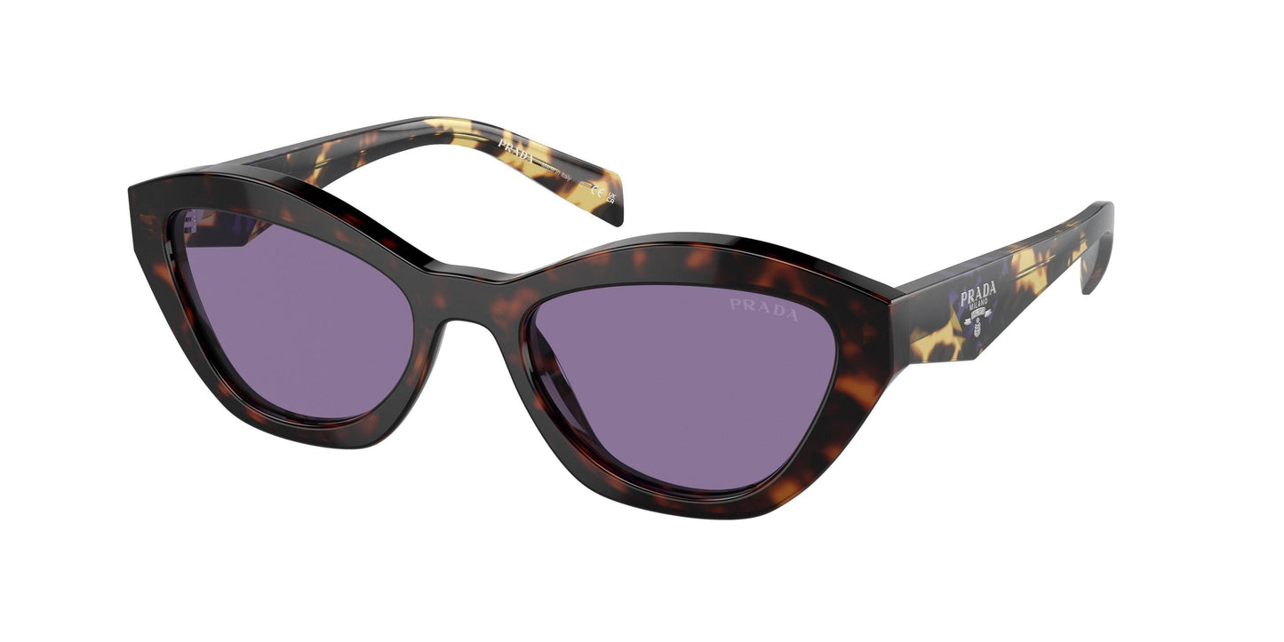 Prada PRA02SF Butterfly Sunglasses - Lensntrends