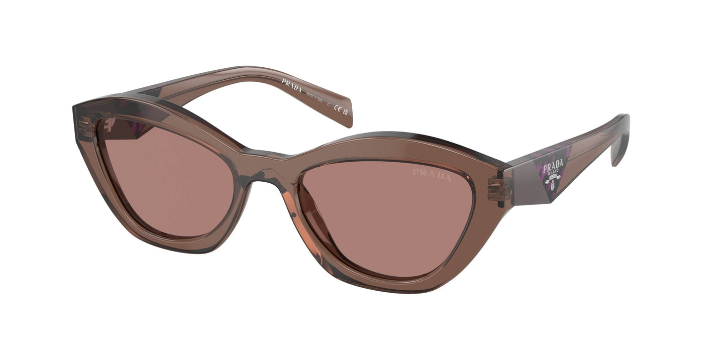 Prada PRA02SF Butterfly Sunglasses - Lensntrends