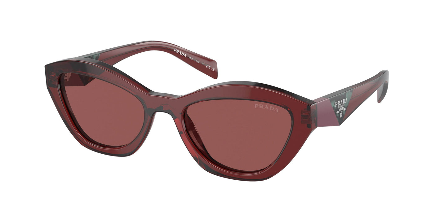 Prada PRA02SF Butterfly Sunglasses - Lensntrends