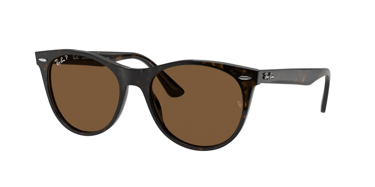 Ray-Ban WAYFARER II RB2185 Phantos Sunglasses - Lensntrends