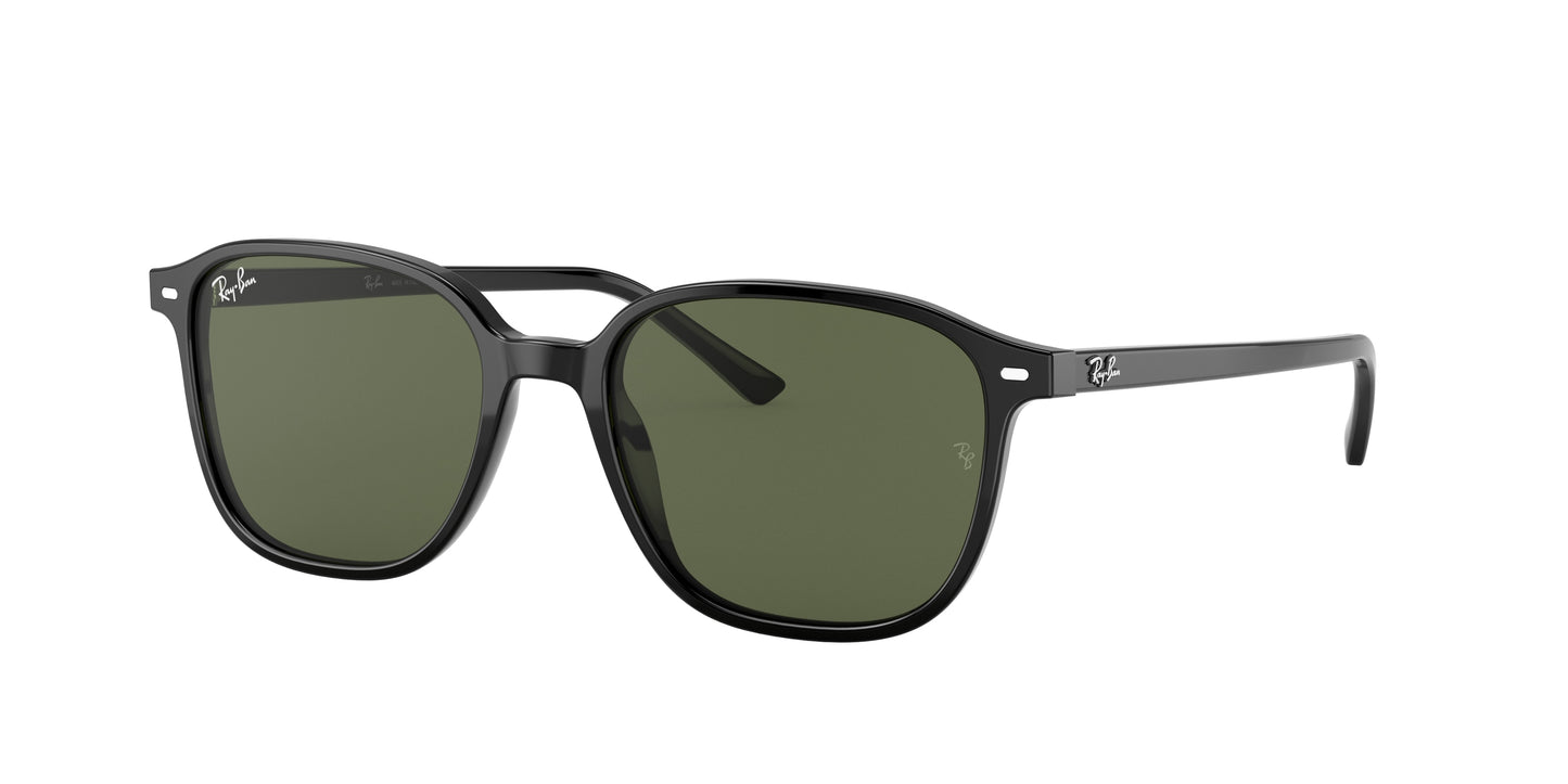 Ray-Ban LEONARD RB2193 Square Sunglasses 901/31-Black 55-145-18 - Color Map Black