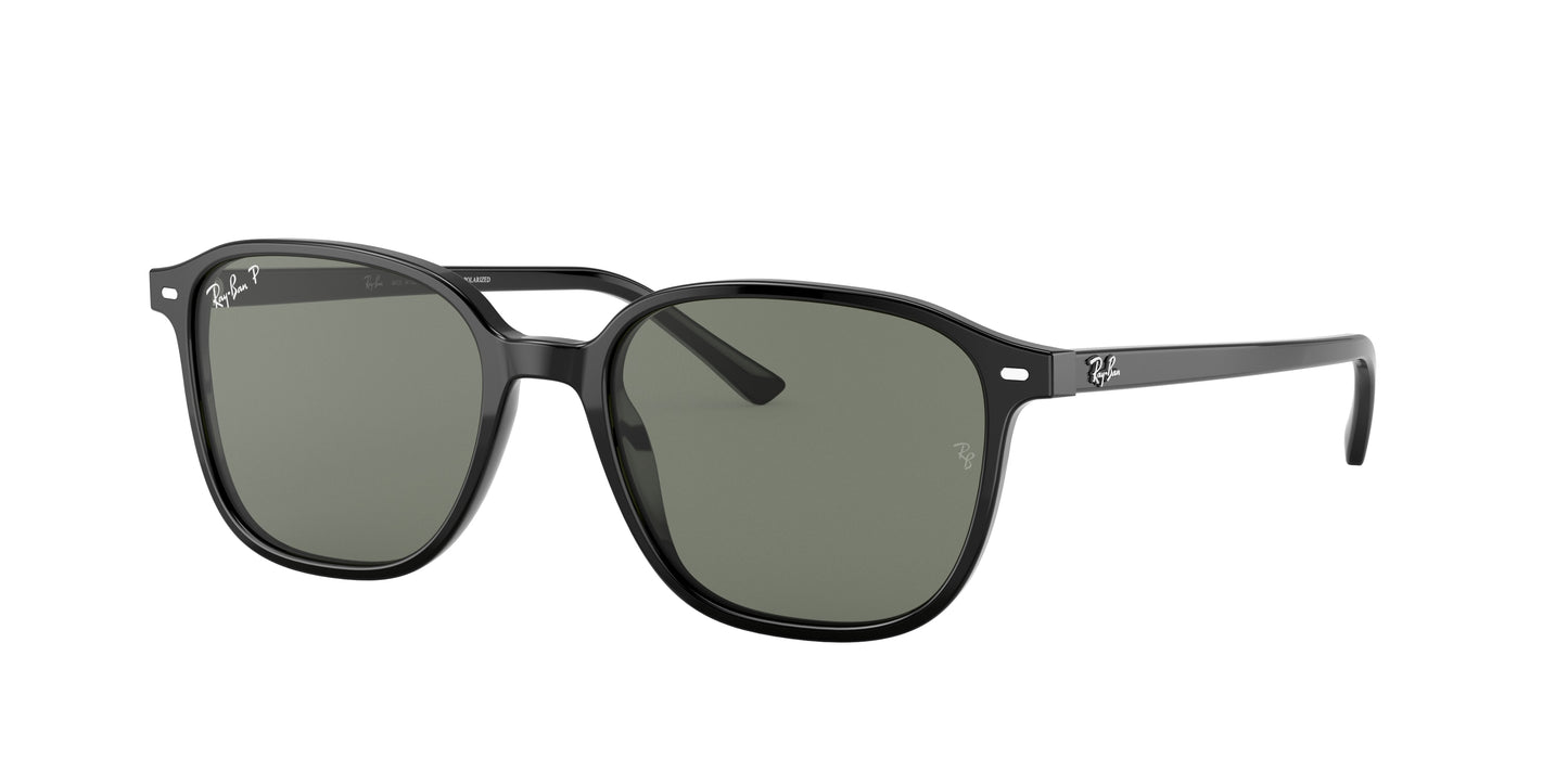 Ray-Ban LEONARD RB2193 Square Sunglasses 901/58-Black 55-145-18 - Color Map Black