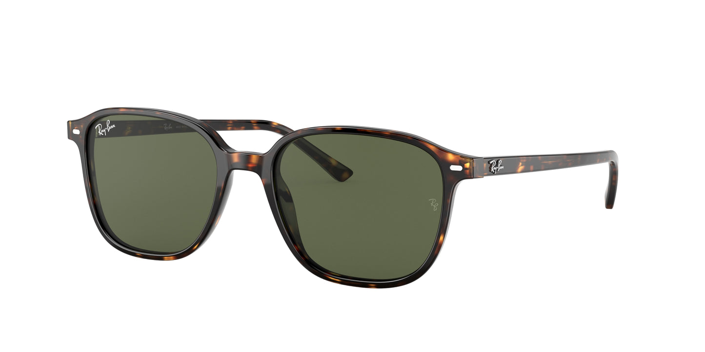 Ray-Ban LEONARD RB2193 Square Sunglasses 902/31-Tortoise 53-145-18 - Color Map Tortoise