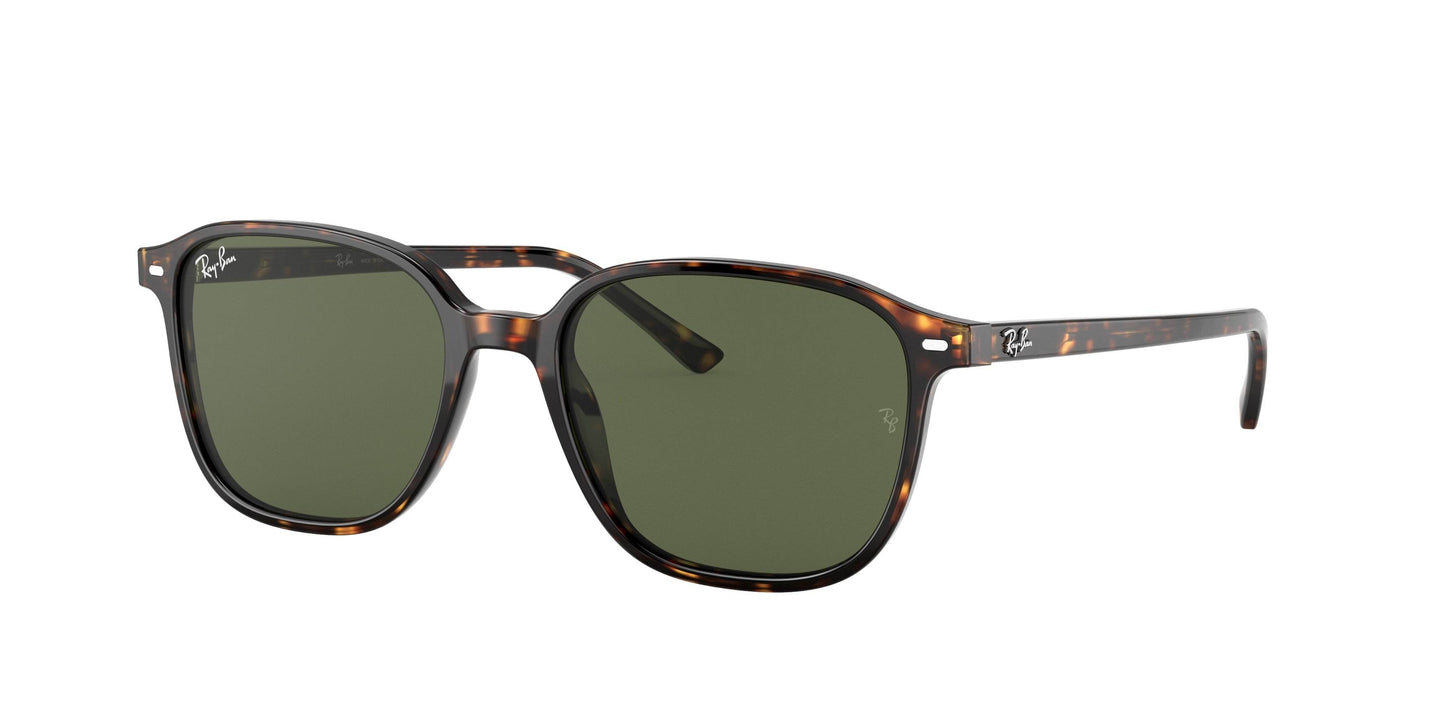 Ray-Ban LEONARD RB2193 Square Sunglasses - Lensntrends