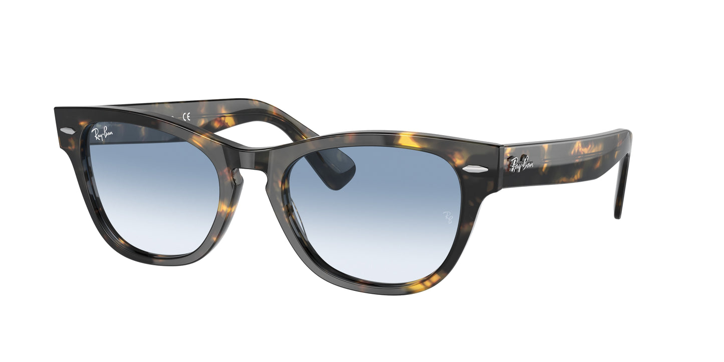 Ray-Ban LARAMIE RB2201 Irregular Sunglasses 13323F-Yellow Havana 54-145-20 - Color Map Tortoise
