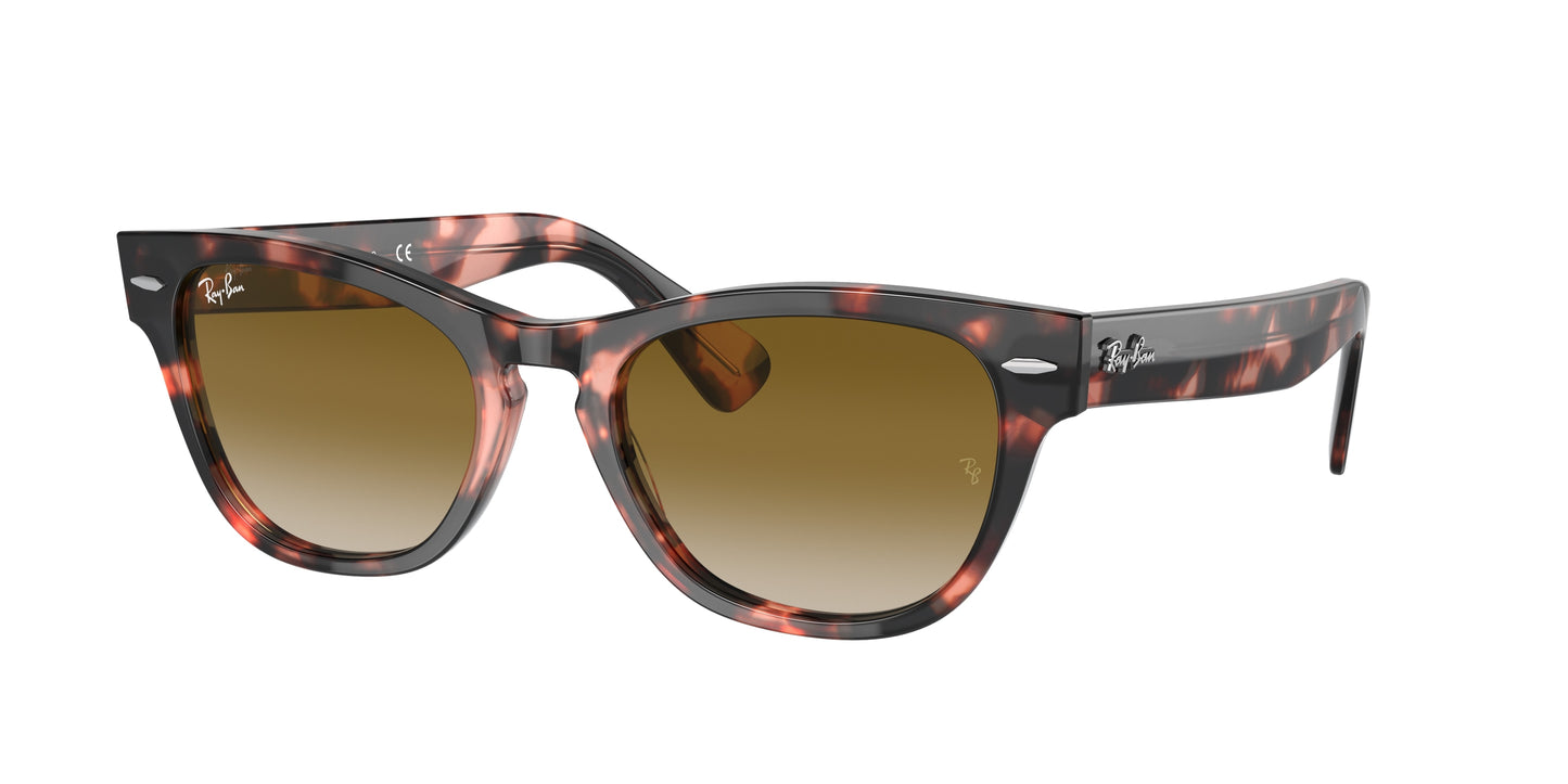 Ray-Ban LARAMIE RB2201 Irregular Sunglasses 133451-Pink Havana 54-145-20 - Color Map Tortoise