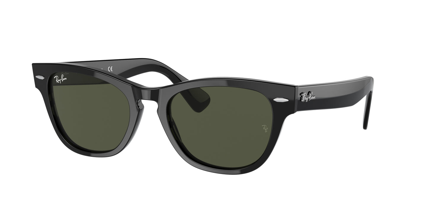 Ray-Ban LARAMIE RB2201 Irregular Sunglasses 901/31-Black 54-145-20 - Color Map Black