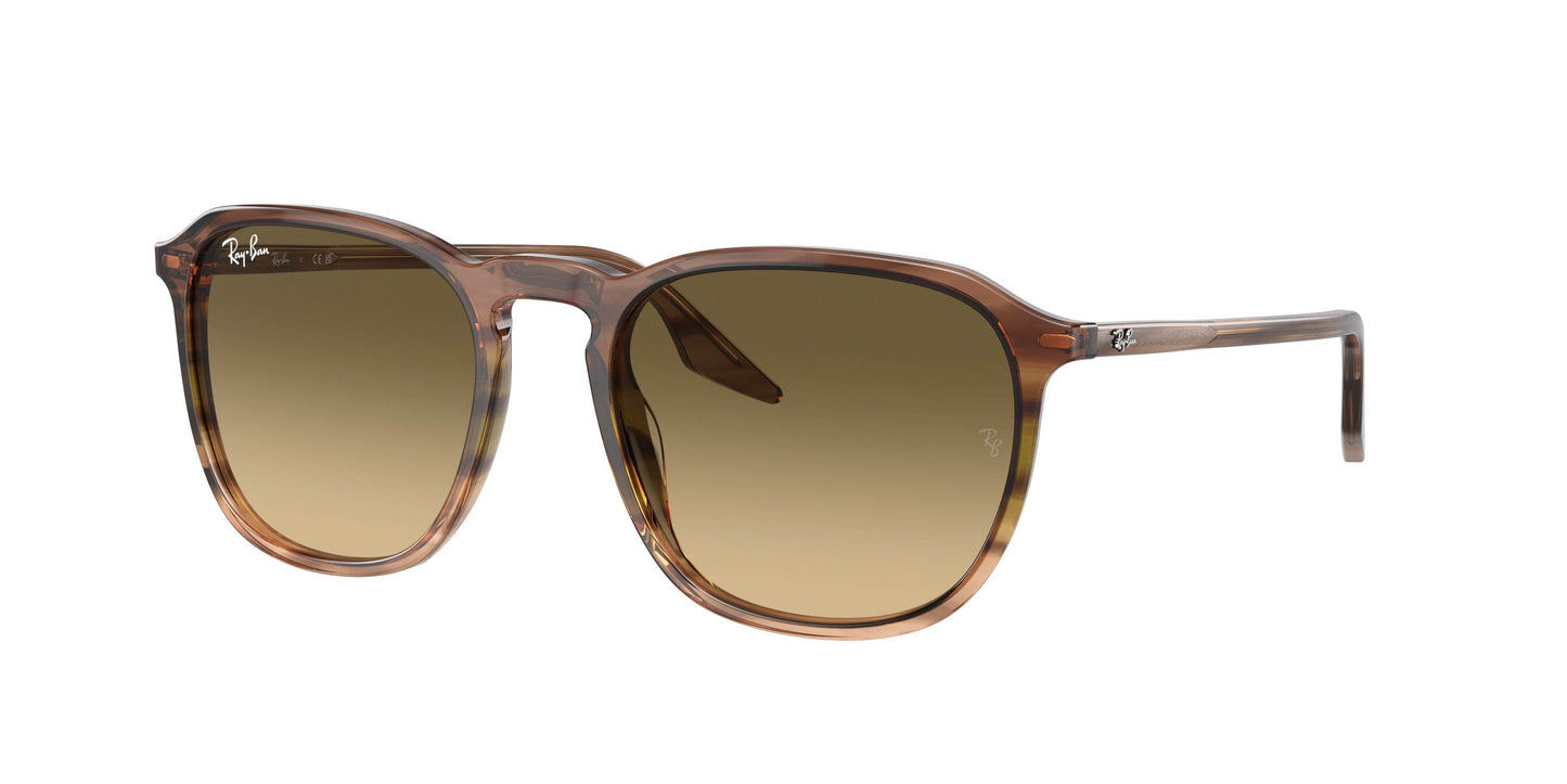 Ray-Ban RB2203F Square Sunglasses - Lensntrends