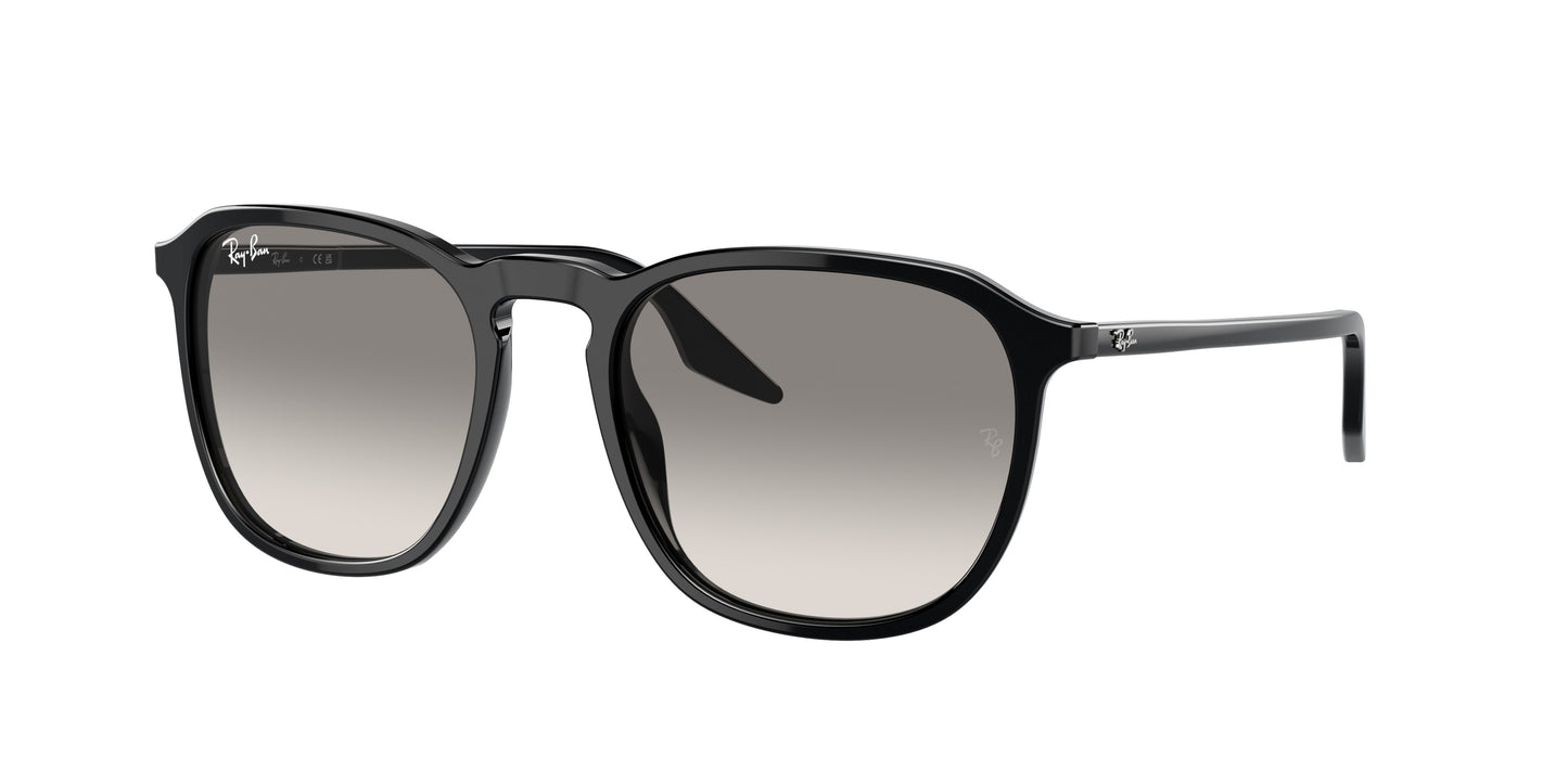 Ray-Ban RB2203 Square Sunglasses 901/32-Black 55-145-20 - Color Map Black