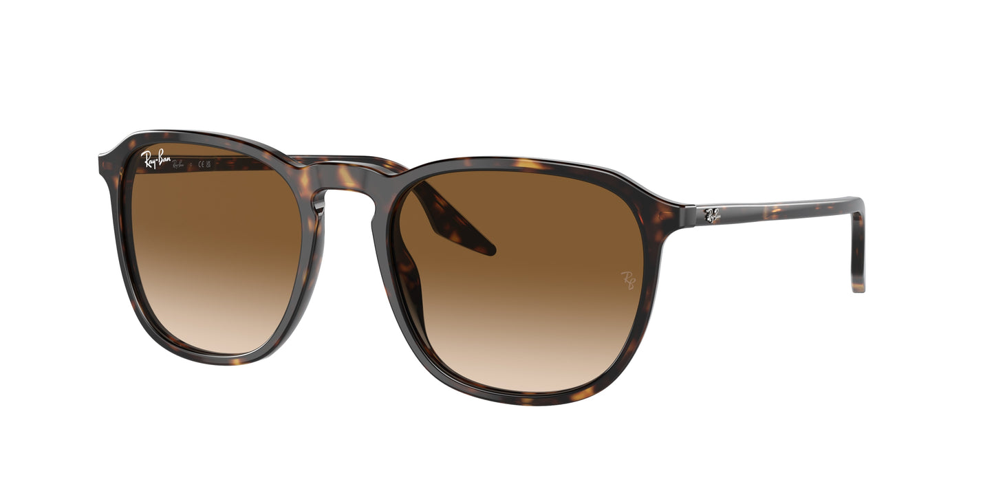 Ray-Ban RB2203 Square Sunglasses 902/51-Havana 55-145-20 - Color Map Tortoise