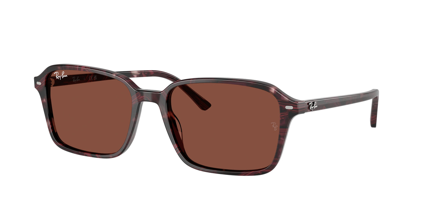 Ray-Ban RAIMOND RB2231 Square Sunglasses 1416C5-Transparent Fantasy Violet/Red 58-145-18 - Color Map Violet
