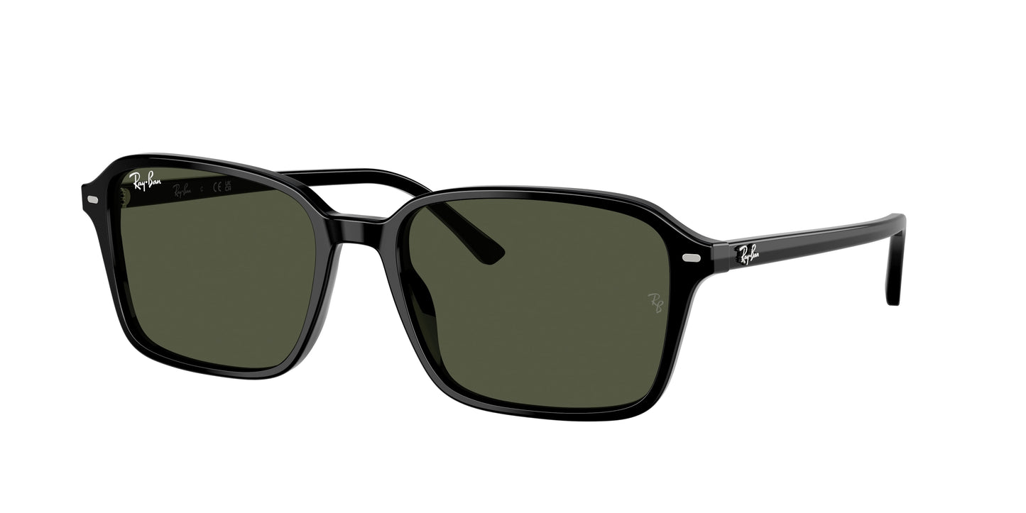 Ray-Ban RAIMOND RB2231 Square Sunglasses 901/31-Black 58-145-18 - Color Map Black