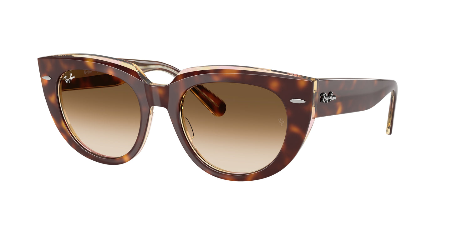 Ray-Ban DOREEN RB2286 Square Sunglasses 141451-Light Havana On Transparent Multicolor 52-145-20 - Color Map Tortoise