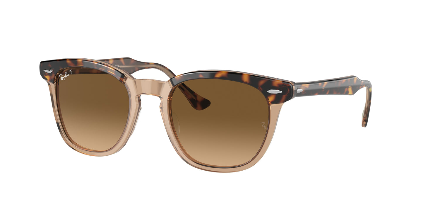 Ray-Ban HAWKEYE RB2298 Square Sunglasses 1292M2-Havana On Transparent Brown 52-145-21 - Color Map Gold