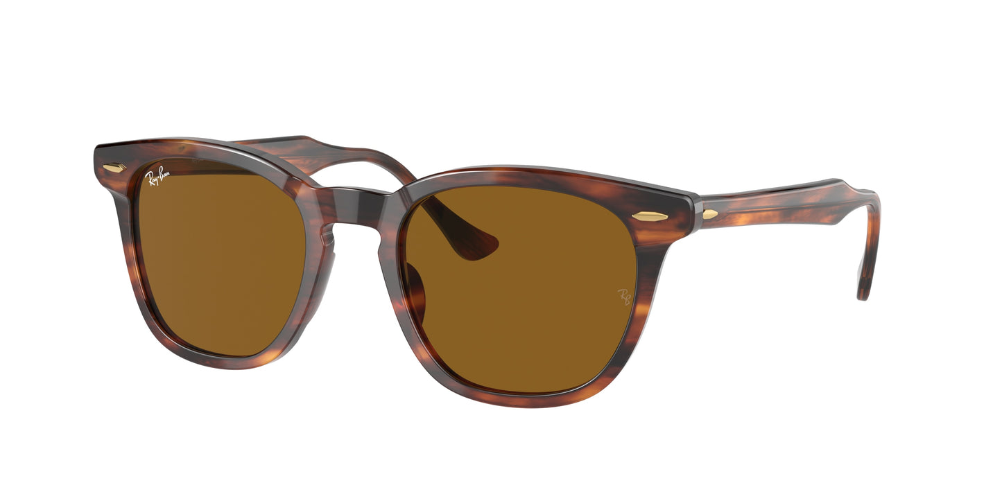 Ray-Ban HAWKEYE RB2298 Square Sunglasses 954/33-Striped Havana 52-145-21 - Color Map Brown