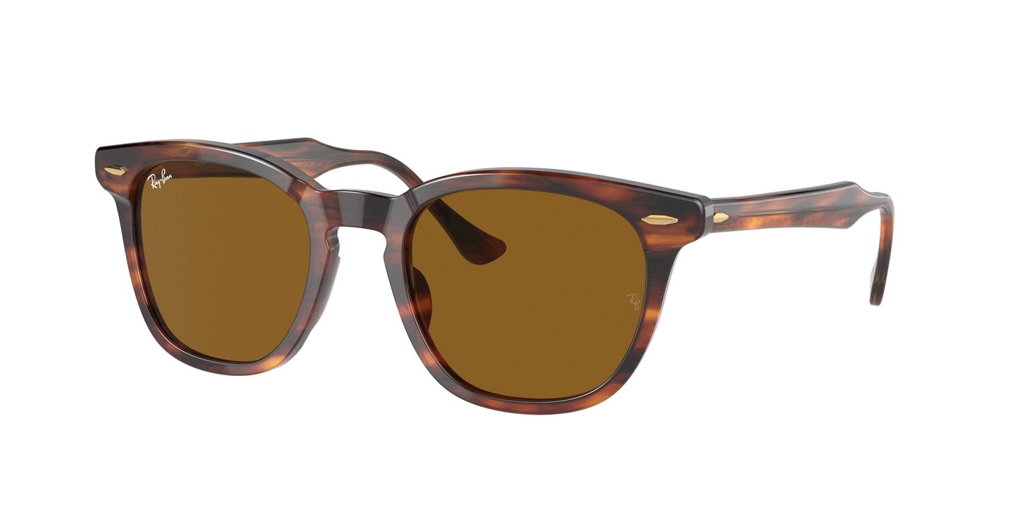 Ray-Ban HAWKEYE RB2298 Square Sunglasses - Lensntrends