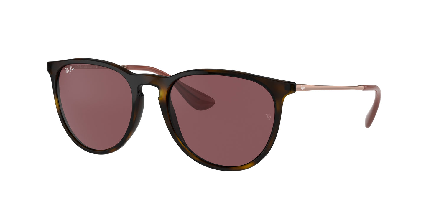 Ray-Ban ERIKA RB4171 Phantos Sunglasses 639175-Havana 54-145-18 - Color Map Tortoise