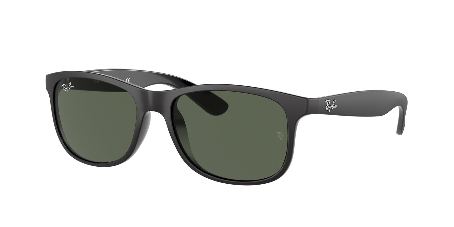 Ray-Ban ANDY RB4202 Square Sunglasses 606971-Black 55-145-17 - Color Map Black