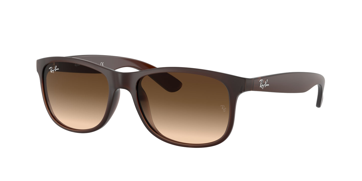 Ray-Ban ANDY RB4202 Square Sunglasses 607313-Brown 55-145-17 - Color Map Brown