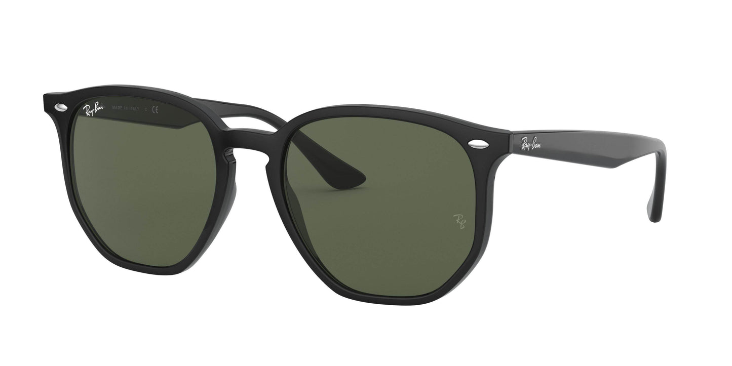 Ray-Ban RB4306F Irregular Sunglasses - Lensntrends