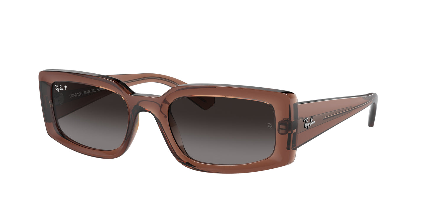 Ray-Ban KILIANE RB4395F Pillow Sunglasses 6678T3-Transparent Brown 54-140-21 - Color Map Brown
