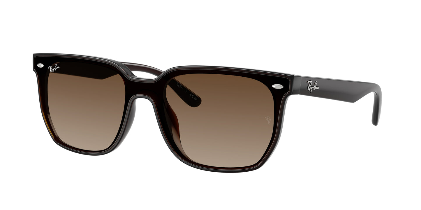 Ray-Ban RB4466D Square Sunglasses 714/13-Transparent Dark Brown 47-145-147 - Color Map Brown