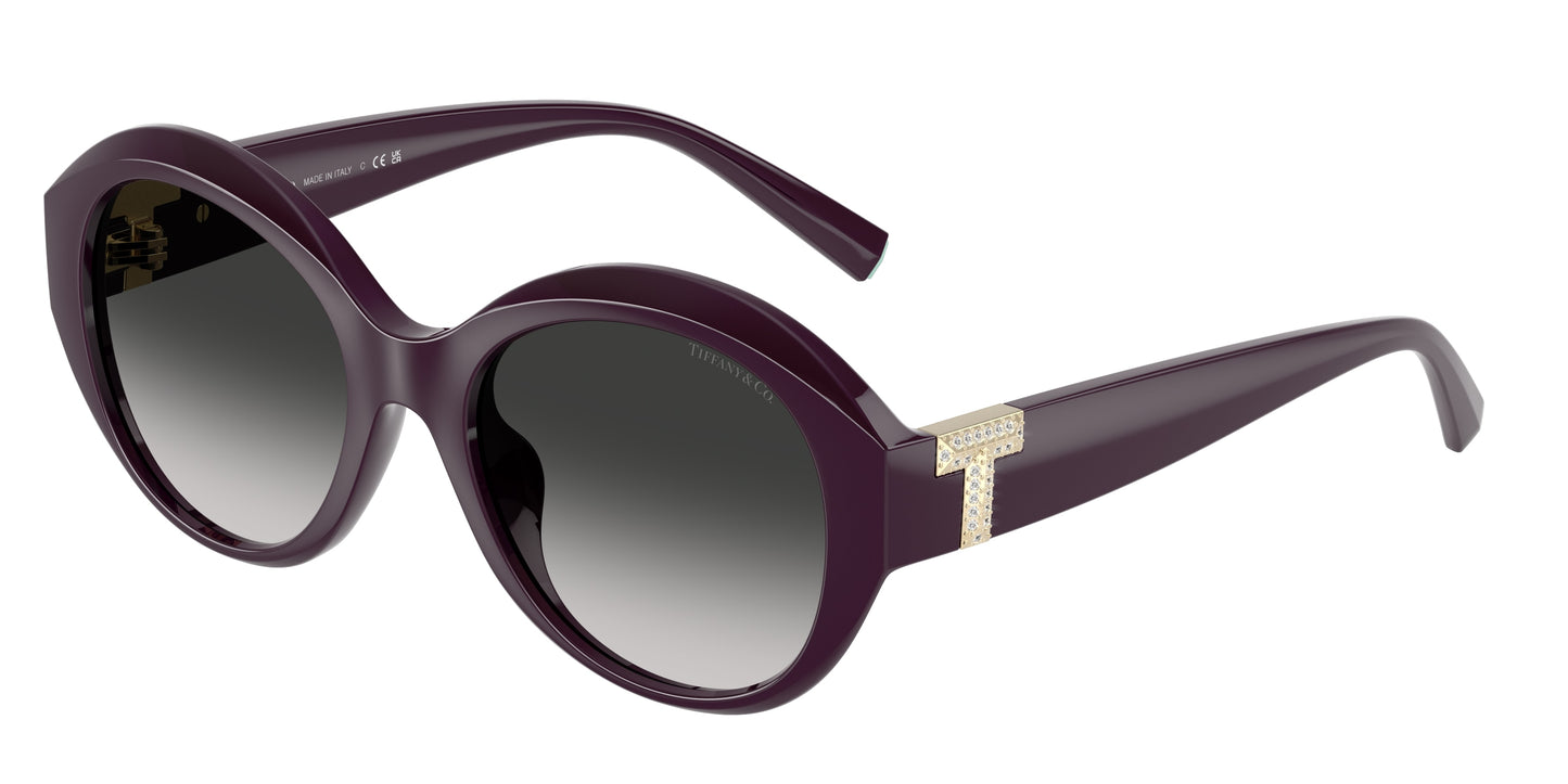 Tiffany TF4227BU Round Sunglasses 84273C-Deep Kunzite 53-140-19 - Color Map Black
