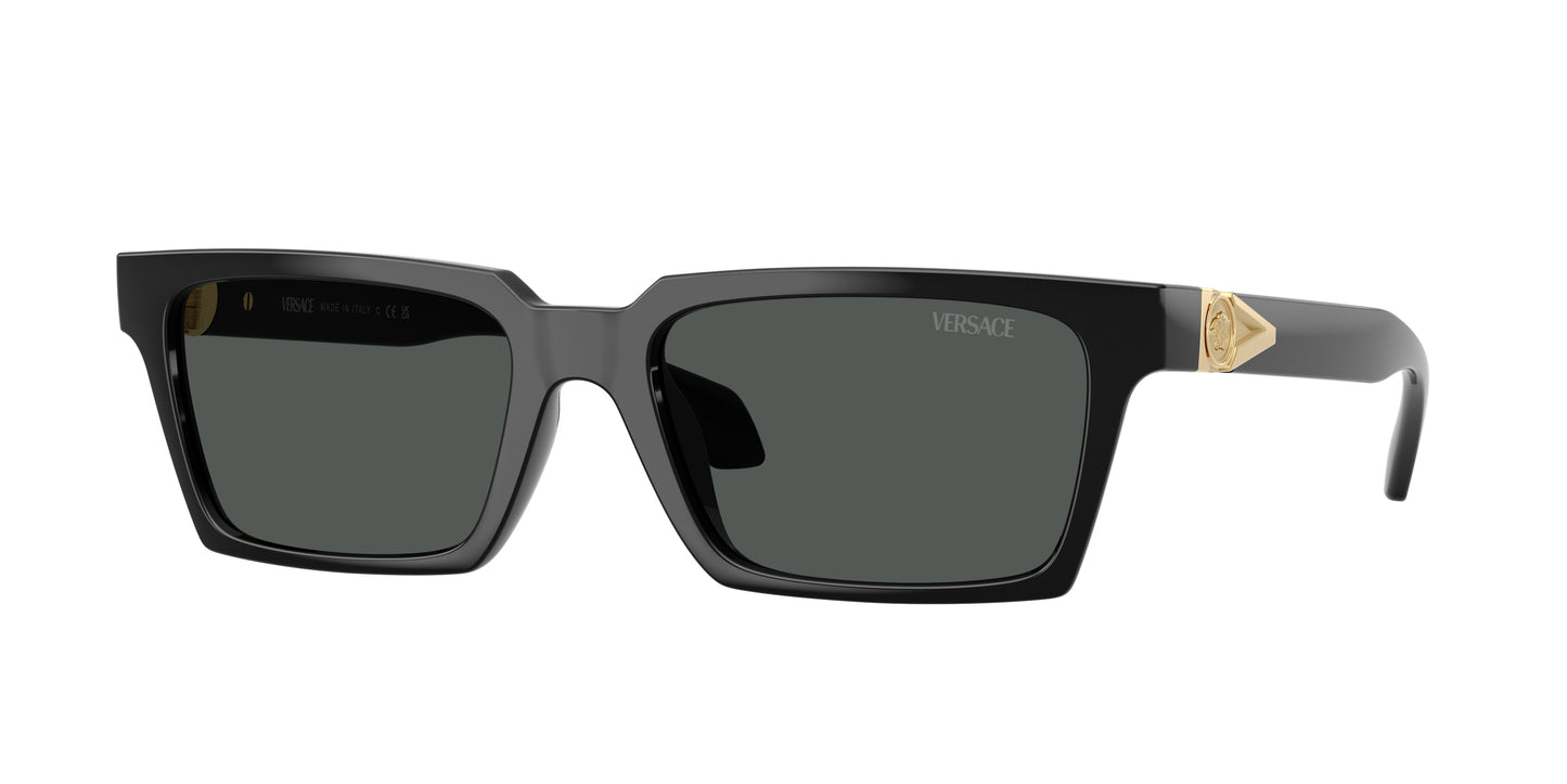 Versace VE4490U Rectangle Sunglasses GB1/87-Black 55-140-18 - Color Map Black