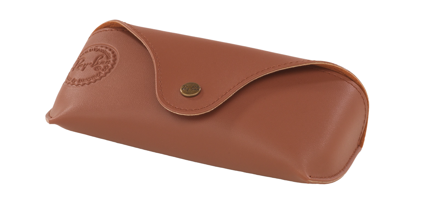 Ray-Ban ACCESSORY RB0001AT Clip-On 000002-Brown 0-- - Color Map Multicolor
