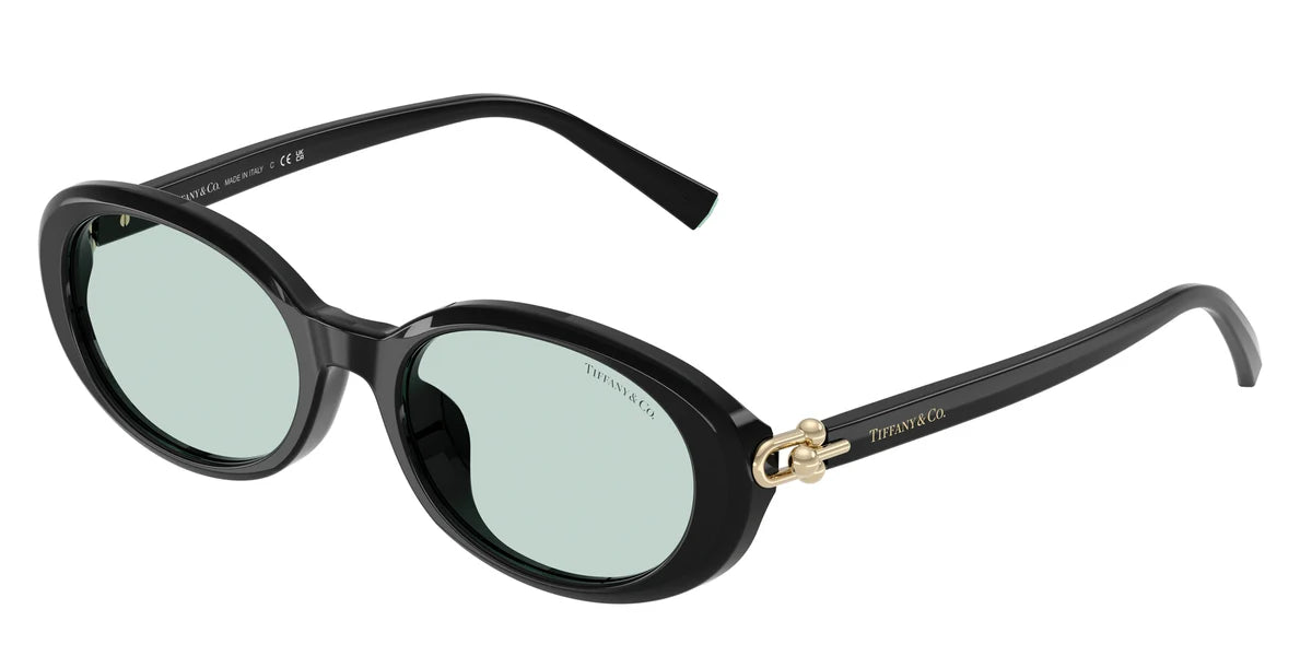 Tiffany TF4242D Oval Sunglasses