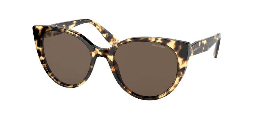 Miu Miu MU04XS Cat Eye Sunglasses - Lensntrends