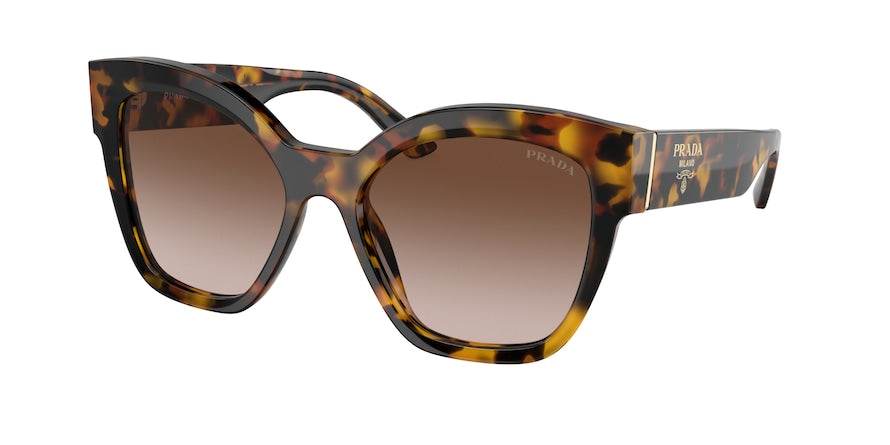 Prada PR17ZS Square Sunglasses - Lensntrends