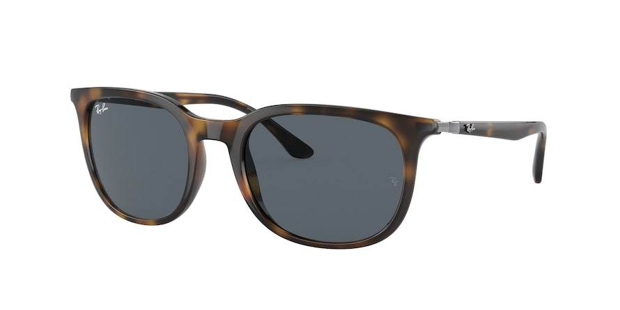 Ray-Ban RB4386 Pillow Sunglasses - Lensntrends