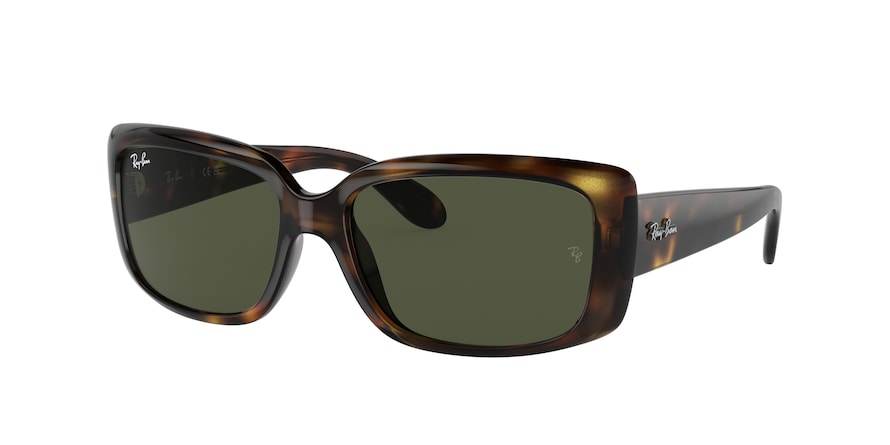 Ray-Ban RB4389 Pillow Sunglasses - Lensntrends